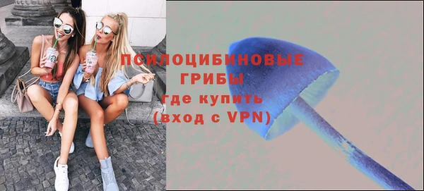 ешки Горняк