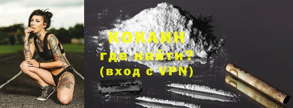 ешки Горняк