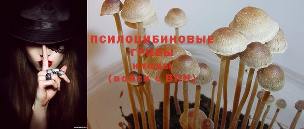 ешки Горняк