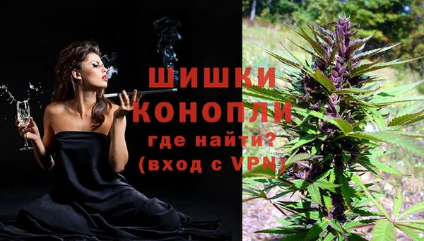 стаф Горно-Алтайск