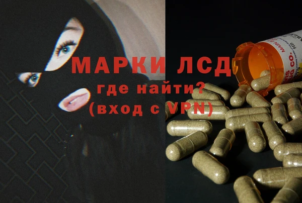 ешки Горняк