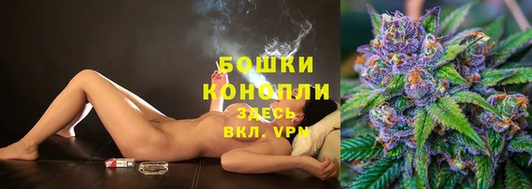 ешки Горняк