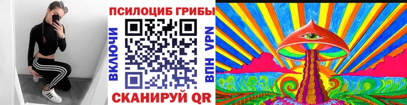 Псилоцибиновые грибы Magic Shrooms Злынка
